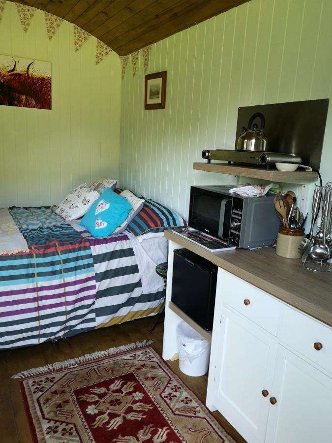 Shepherds Hut Dolly Wagon Keswick  Esterno foto